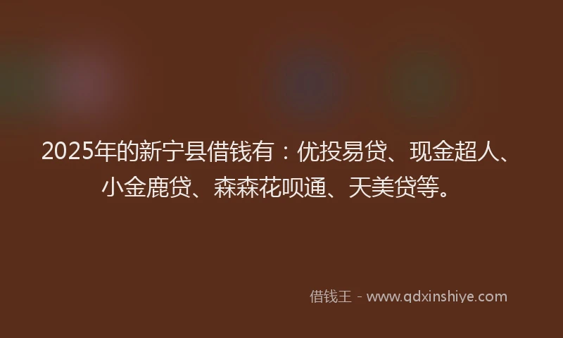 2025年的新宁县借钱有：优投易贷、现金超人、小金鹿贷、森森花呗通、天美贷等。