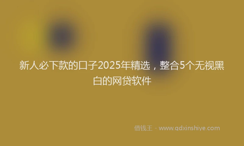 新人必下款的口子2025年精选，整合5个无视黑白的网贷软件