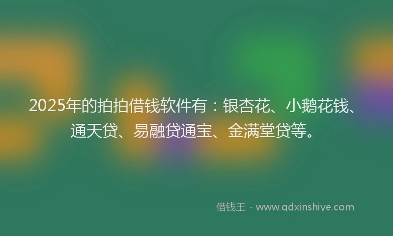 2025年的拍拍借钱软件有：银杏花、小鹅花钱、通天贷、易融贷通宝、金满堂贷等。