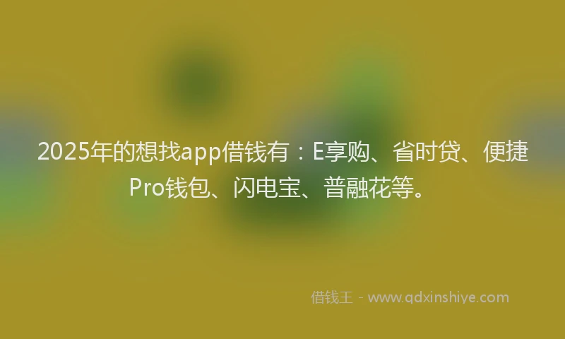 2025年的想找app借钱有：E享购、省时贷、便捷Pro钱包、闪电宝、普融花等。