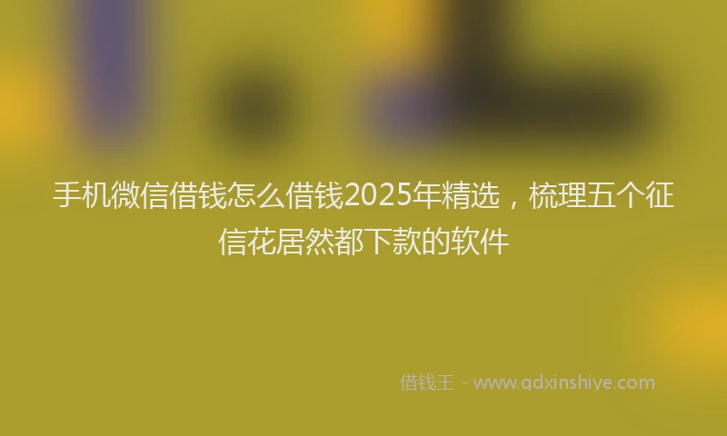 手机微信借钱怎么借钱2025年精选，梳理五个征信花居然都下款的软件