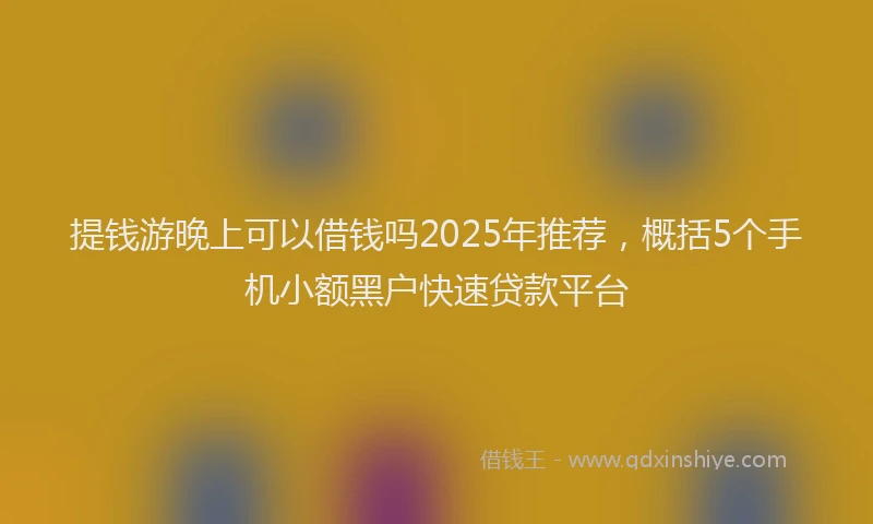 提钱游晚上可以借钱吗2025年推荐，概括5个手机小额黑户快速贷款平台