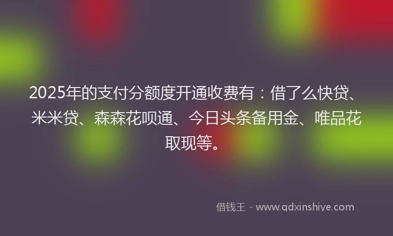 2025年的支付分额度开通收费有：借了么快贷、米米贷、森森花呗通、今日头条备用金、唯品花取现等。