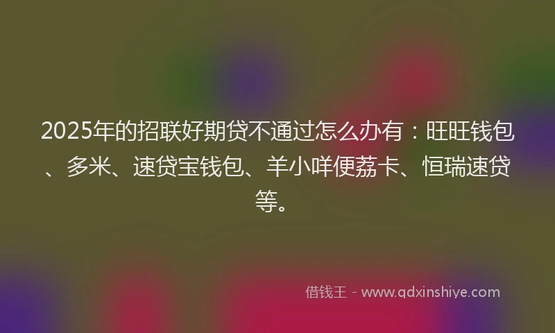 2025年的招联好期贷不通过怎么办有：旺旺钱包、多米、速贷宝钱包、羊小咩便荔卡、恒瑞速贷等。