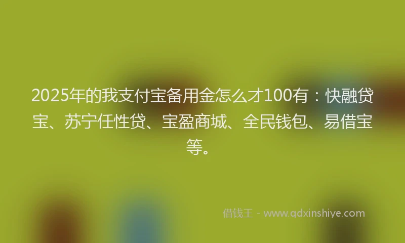 2025年的我支付宝备用金怎么才100有：快融贷宝、苏宁任性贷、宝盈商城、全民钱包、易借宝等。