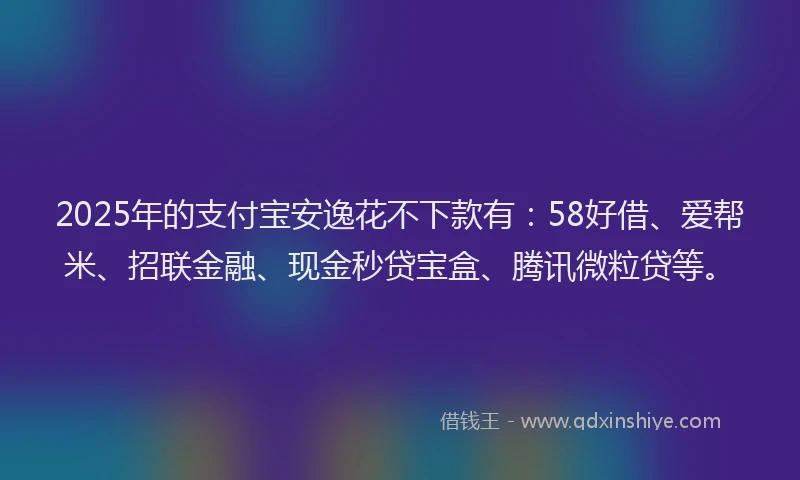 2025年的支付宝安逸花不下款有：58好借、爱帮米、招联金融、现金秒贷宝盒、腾讯微粒贷等。
