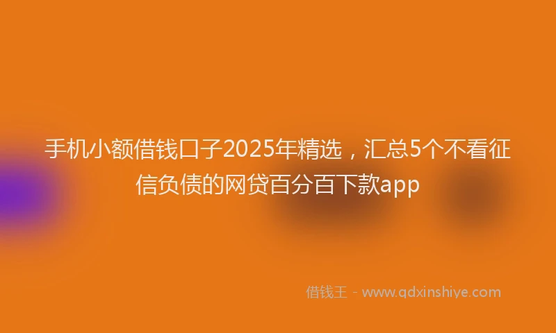手机小额借钱口子2025年精选，汇总5个不看征信负债的网贷百分百下款app