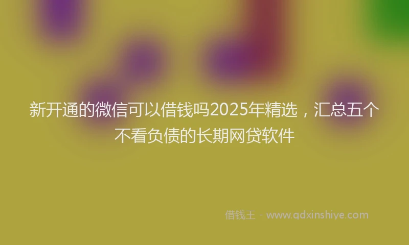 新开通的微信可以借钱吗2025年精选，汇总五个不看负债的长期网贷软件