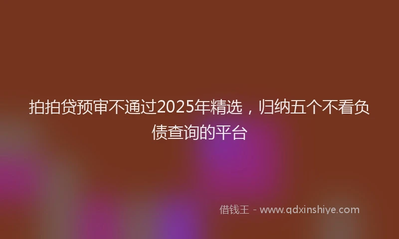 拍拍贷预审不通过2025年精选，归纳五个不看负债查询的平台