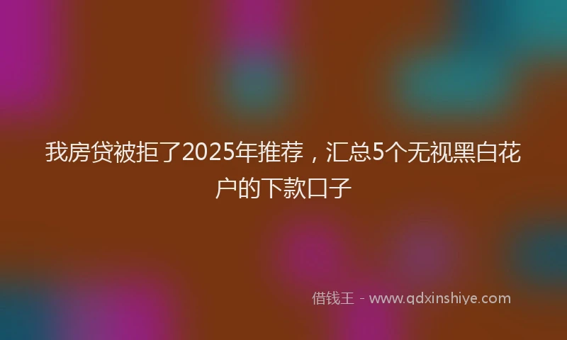 我房贷被拒了2025年推荐，汇总5个无视黑白花户的下款口子