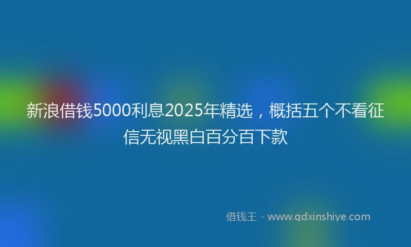 新浪借钱5000利息2025年精选，概括五个不看征信无视黑白百分百下款