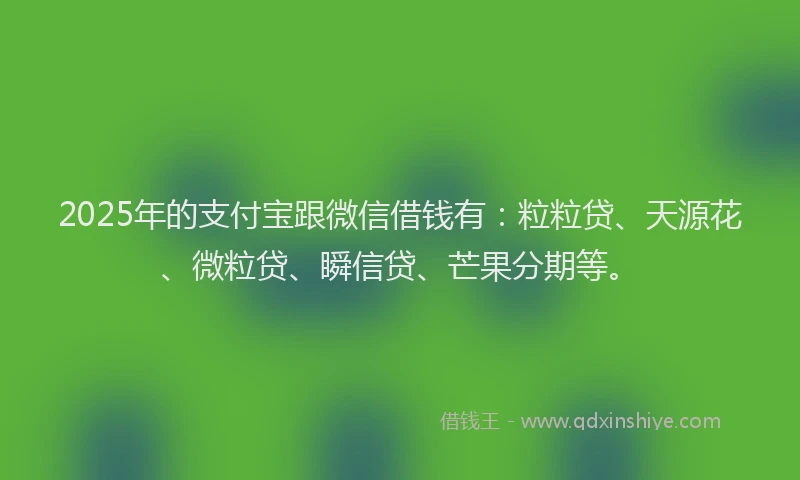 2025年的支付宝跟微信借钱有：粒粒贷、天源花、微粒贷、瞬信贷、芒果分期等。