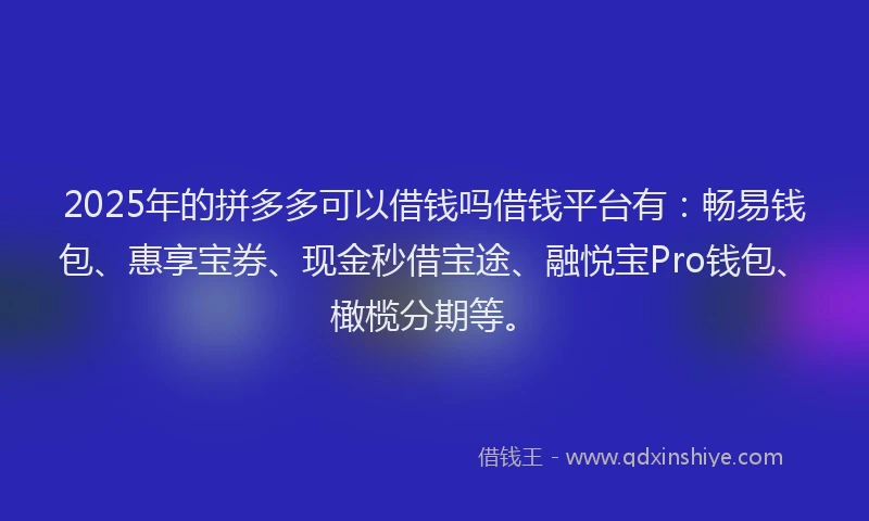 2025年的拼多多可以借钱吗借钱平台有：畅易钱包、惠享宝券、现金秒借宝途、融悦宝Pro钱包、橄榄分期等。