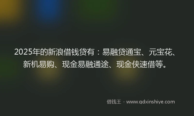 2025年的新浪借钱贷有：易融贷通宝、元宝花、新机易购、现金易融通途、现金侠速借等。