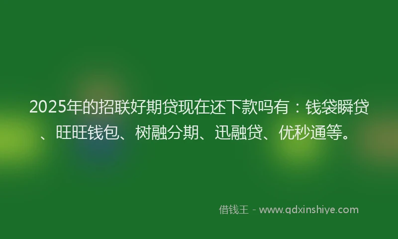 2025年的招联好期贷现在还下款吗有：钱袋瞬贷、旺旺钱包、树融分期、迅融贷、优秒通等。