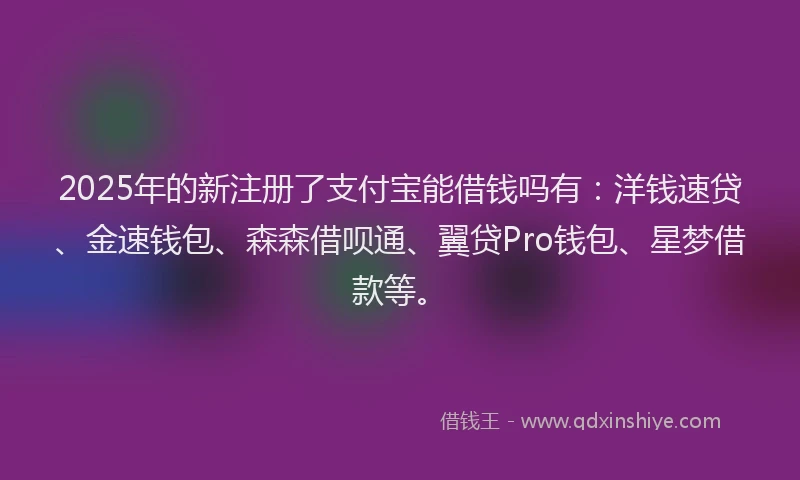 2025年的新注册了支付宝能借钱吗有：洋钱速贷、金速钱包、森森借呗通、翼贷Pro钱包、星梦借款等。