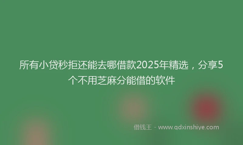 所有小贷秒拒还能去哪借款2025年精选，分享5个不用芝麻分能借的软件