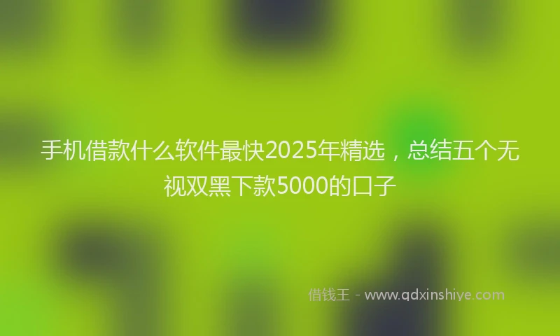 手机借款什么软件最快2025年精选，总结五个无视双黑下款5000的口子
