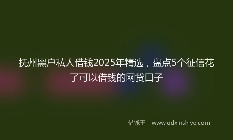 抚州黑户私人借钱2025年精选，盘点5个征信花了可以借钱的网贷口子