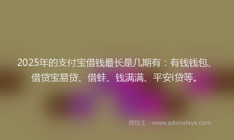 2025年的支付宝借钱最长是几期有：有钱钱包、借贷宝易贷、借蛙、钱满满、平安i贷等。