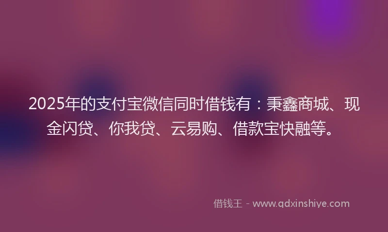 2025年的支付宝微信同时借钱有：秉鑫商城、现金闪贷、你我贷、云易购、借款宝快融等。