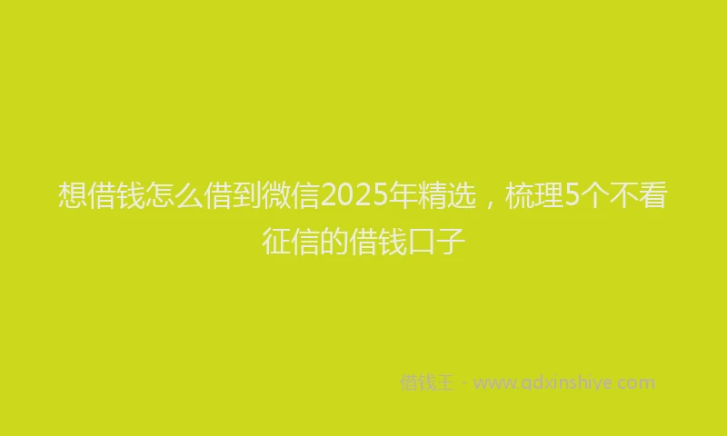 想借钱怎么借到微信2025年精选，梳理5个不看征信的借钱口子