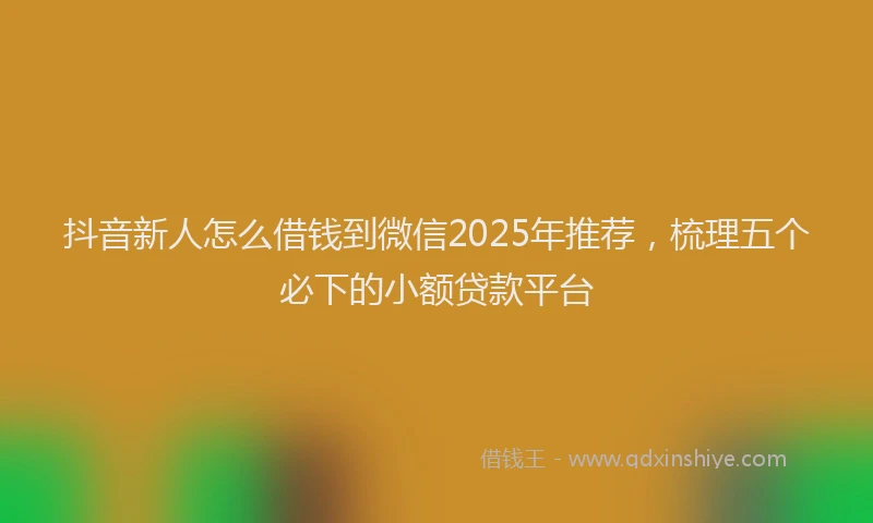 抖音新人怎么借钱到微信2025年推荐，梳理五个必下的小额贷款平台