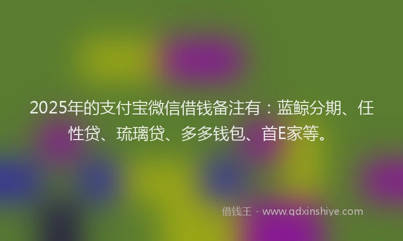 2025年的支付宝微信借钱备注有：蓝鲸分期、任性贷、琉璃贷、多多钱包、首E家等。