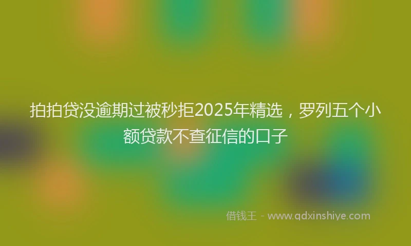 拍拍贷没逾期过被秒拒2025年精选，罗列五个小额贷款不查征信的口子