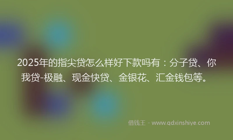 2025年的指尖贷怎么样好下款吗有:分子贷、你我贷-极融、现金快贷、金银花、汇金钱包等。
