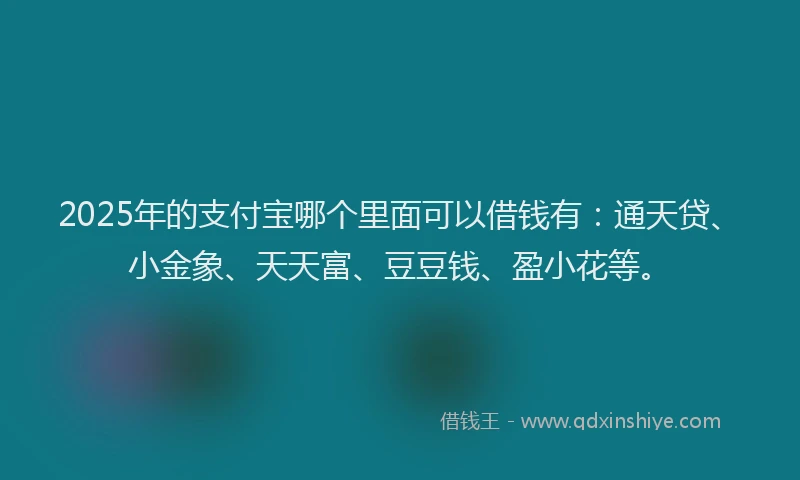 2025年的支付宝哪个里面可以借钱有：通天贷、小金象、天天富、豆豆钱、盈小花等。