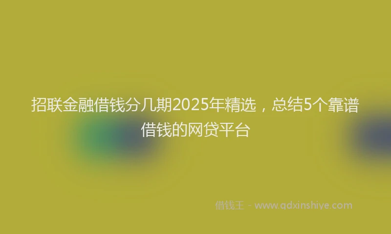 招联金融借钱分几期2025年精选，总结5个靠谱借钱的网贷平台