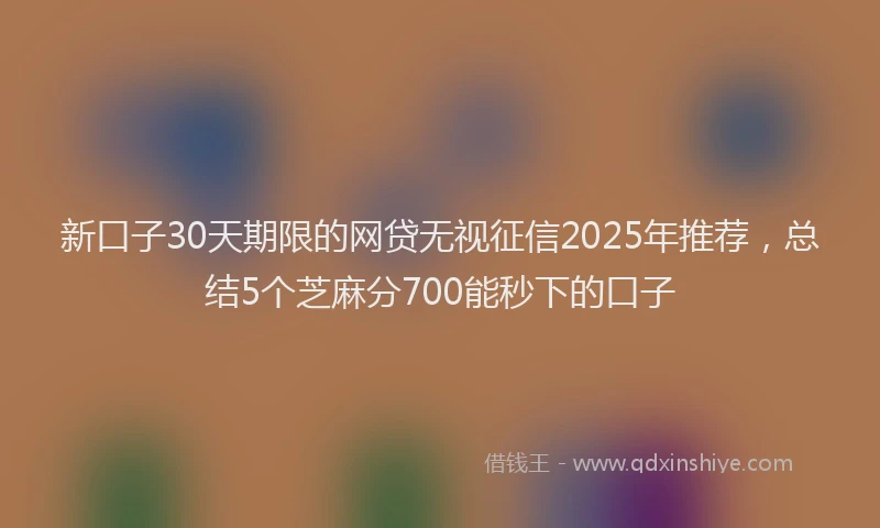新口子30天期限的网贷无视征信2025年推荐，总结5个芝麻分700能秒下的口子