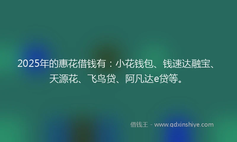 2025年的惠花借钱有：小花钱包、钱速达融宝、天源花、飞鸟贷、阿凡达e贷等。