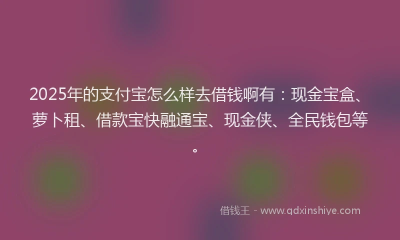 2025年的支付宝怎么样去借钱啊有：现金宝盒、萝卜租、借款宝快融通宝、现金侠、全民钱包等。