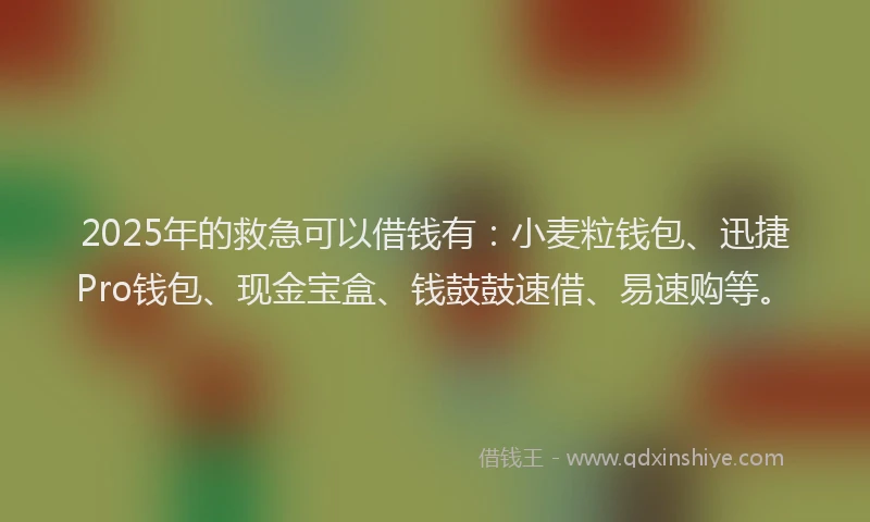 2025年的救急可以借钱有：小麦粒钱包、迅捷Pro钱包、现金宝盒、钱鼓鼓速借、易速购等。