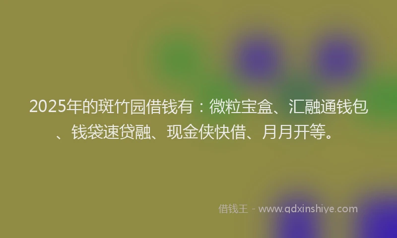 2025年的斑竹园借钱有：微粒宝盒、汇融通钱包、钱袋速贷融、现金侠快借、月月开等。