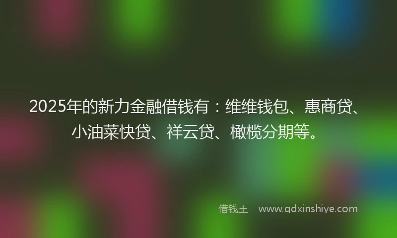 2025年的新力金融借钱有：维维钱包、惠商贷、小油菜快贷、祥云贷、橄榄分期等。