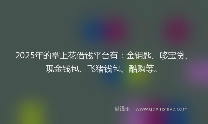 2025年的掌上花借钱平台有：金钥匙、哆宝贷、现金钱包、飞猪钱包、酷购等。