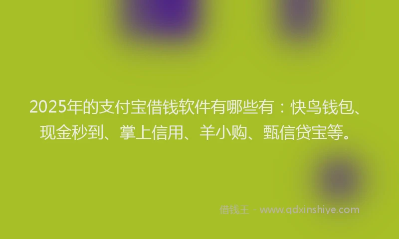 2025年的支付宝借钱软件有哪些有：快鸟钱包、现金秒到、掌上信用、羊小购、甄信贷宝等。
