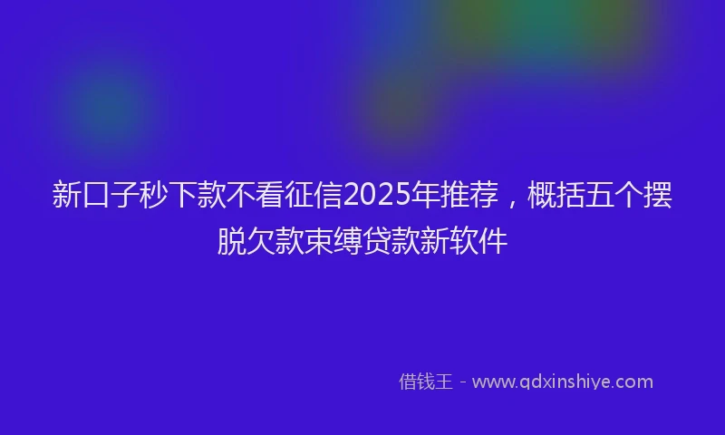 新口子秒下款不看征信2025年推荐，概括五个摆脱欠款束缚贷款新软件