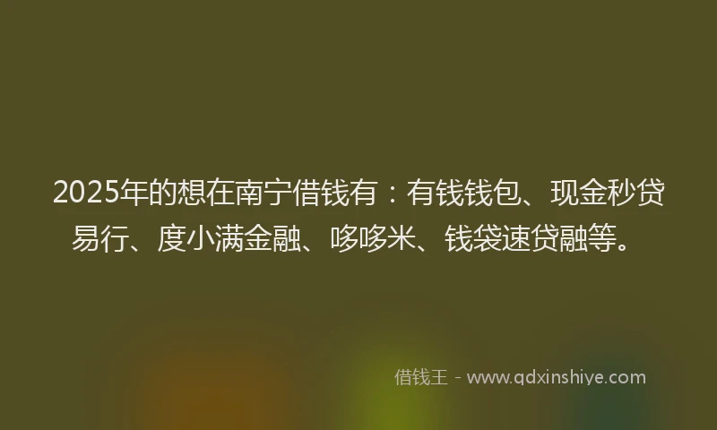 2025年的想在南宁借钱有：有钱钱包、现金秒贷易行、度小满金融、哆哆米、钱袋速贷融等。