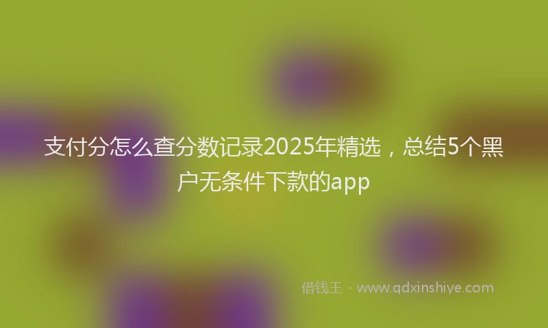 支付分怎么查分数记录2025年精选，总结5个黑户无条件下款的app