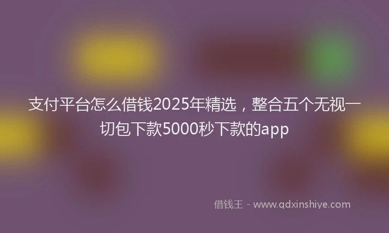 支付平台怎么借钱2025年精选，整合五个无视一切包下款5000秒下款的app