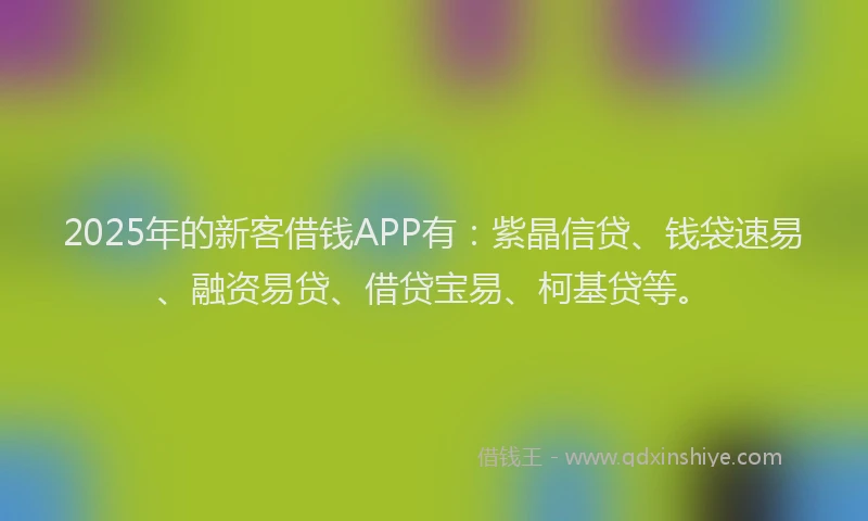 2025年的新客借钱APP有：紫晶信贷、钱袋速易、融资易贷、借贷宝易、柯基贷等。