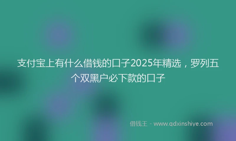 支付宝上有什么借钱的口子2025年精选，罗列五个双黑户必下款的口子