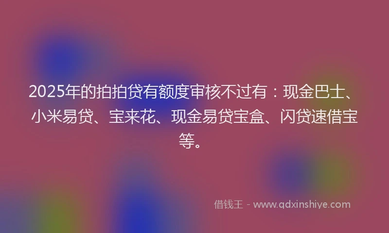2025年的拍拍贷有额度审核不过有：现金巴士、小米易贷、宝来花、现金易贷宝盒、闪贷速借宝等。