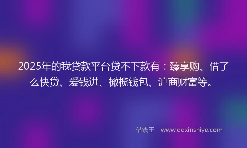 2025年的我贷款平台贷不下款有：臻享购、借了么快贷、爱钱进、橄榄钱包、沪商财富等。