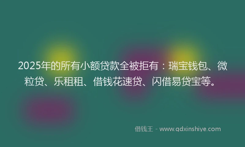 2025年的所有小额贷款全被拒有：瑞宝钱包、微粒贷、乐租租、借钱花速贷、闪借易贷宝等。