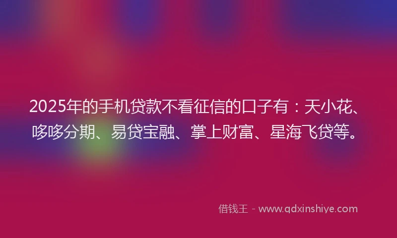 2025年的手机贷款不看征信的口子有：天小花、哆哆分期、易贷宝融、掌上财富、星海飞贷等。